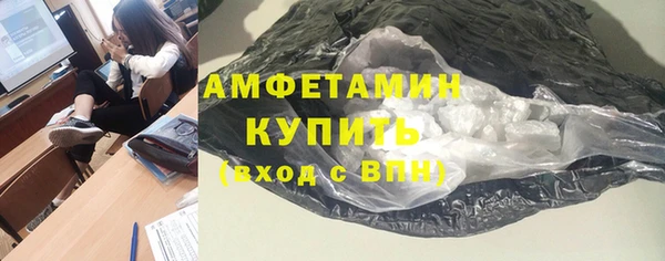 стаф Богданович