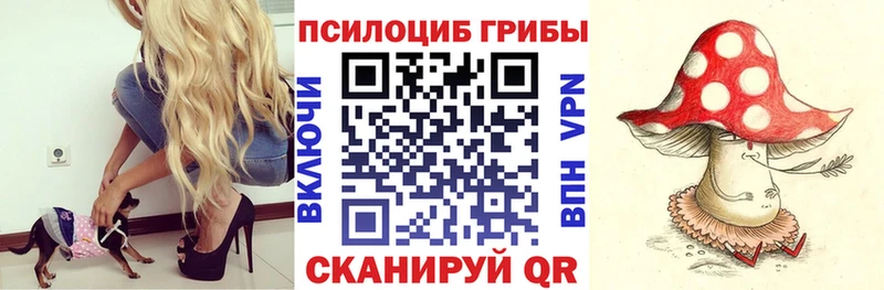 Псилоцибиновые грибы MAGIC MUSHROOMS  купить наркотики цена  MEGA tor  Ипатово 