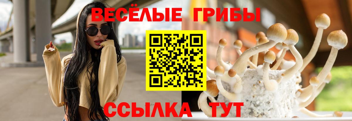 Ипатово  Псилоцибиновые грибы мухоморы  Вход с VPN 